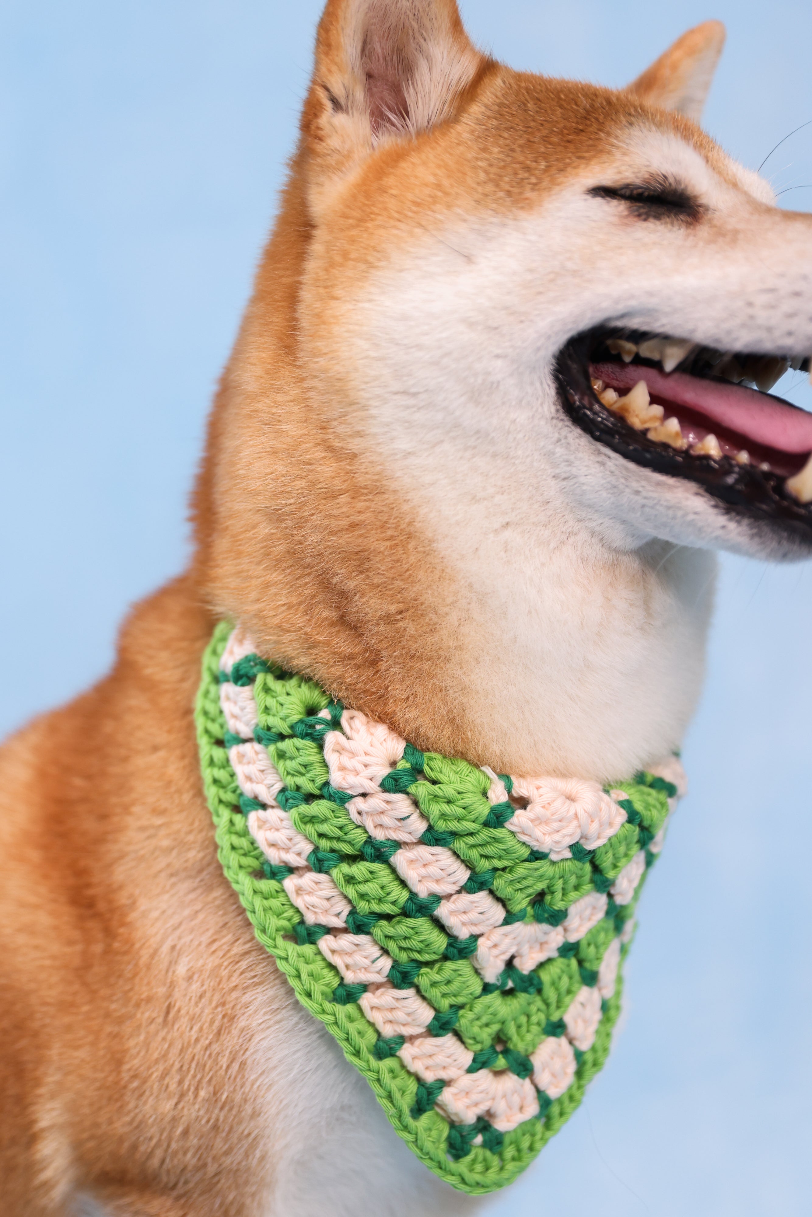 Bandana en crochet vert & blanc