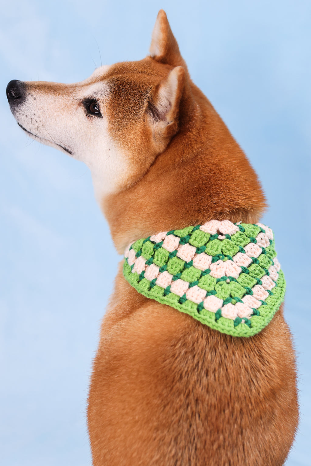 Bandana en crochet vert & blanc