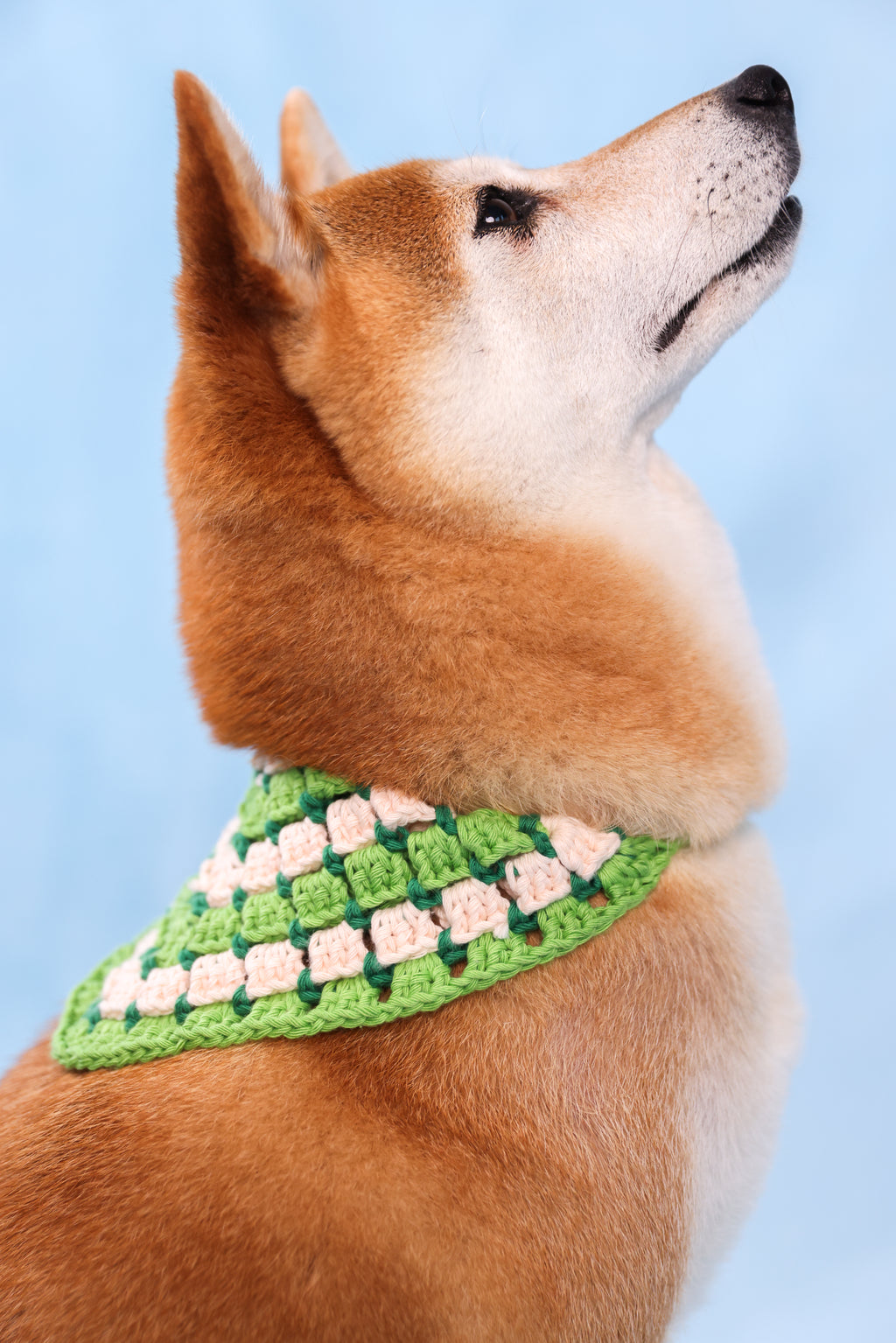 Bandana en crochet vert & blanc