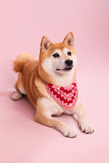 Bandana en crochet rouge, rose & blanc