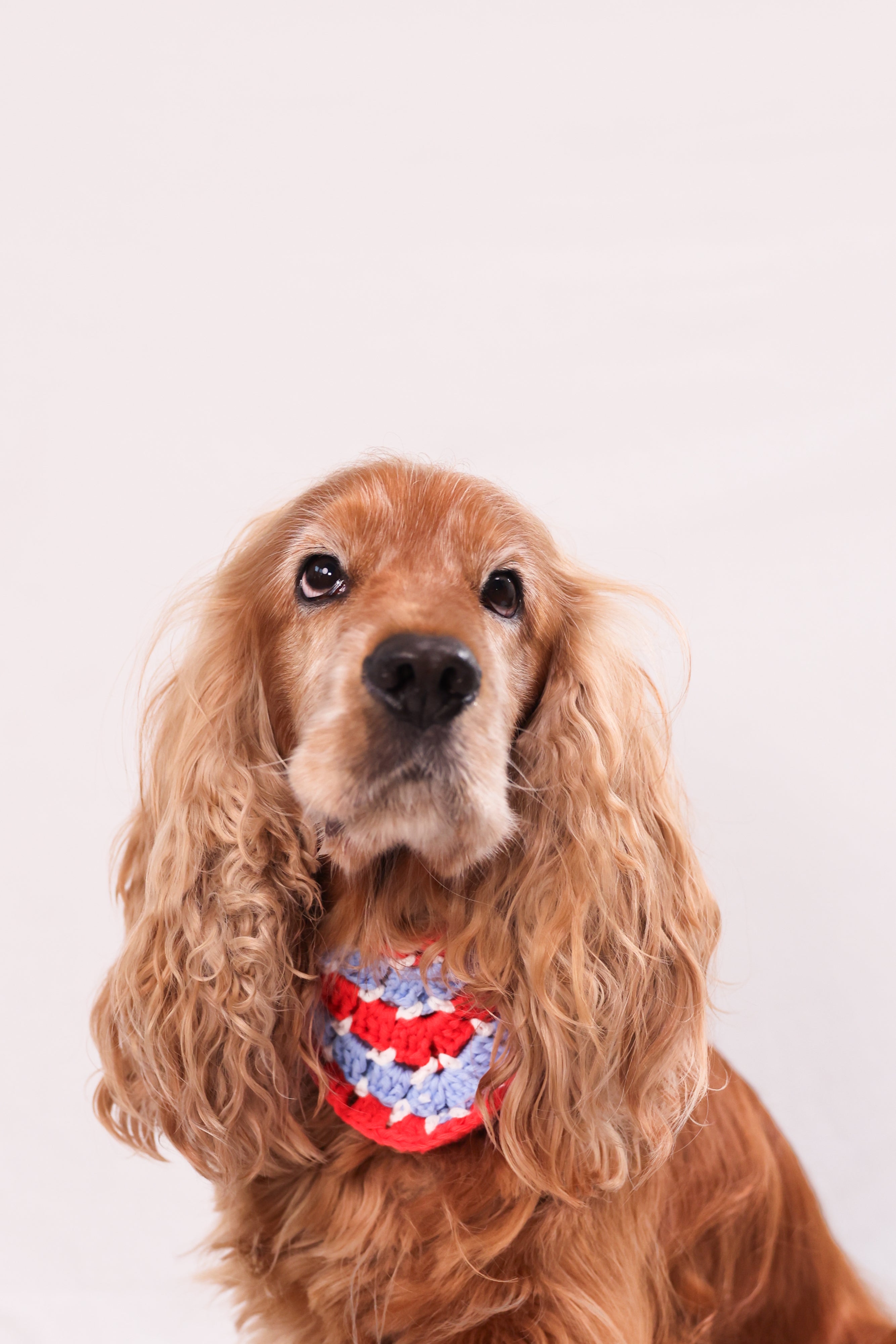 Bandana en crochet rouge, violet & blanc