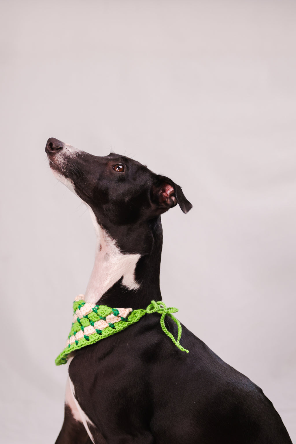 Bandana en crochet vert & blanc