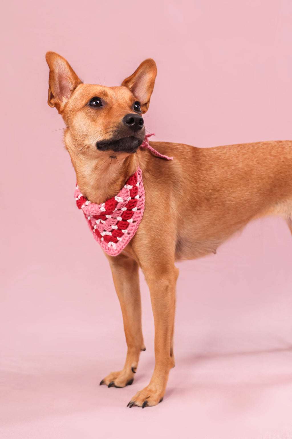 Bandana en crochet rouge, rose & blanc