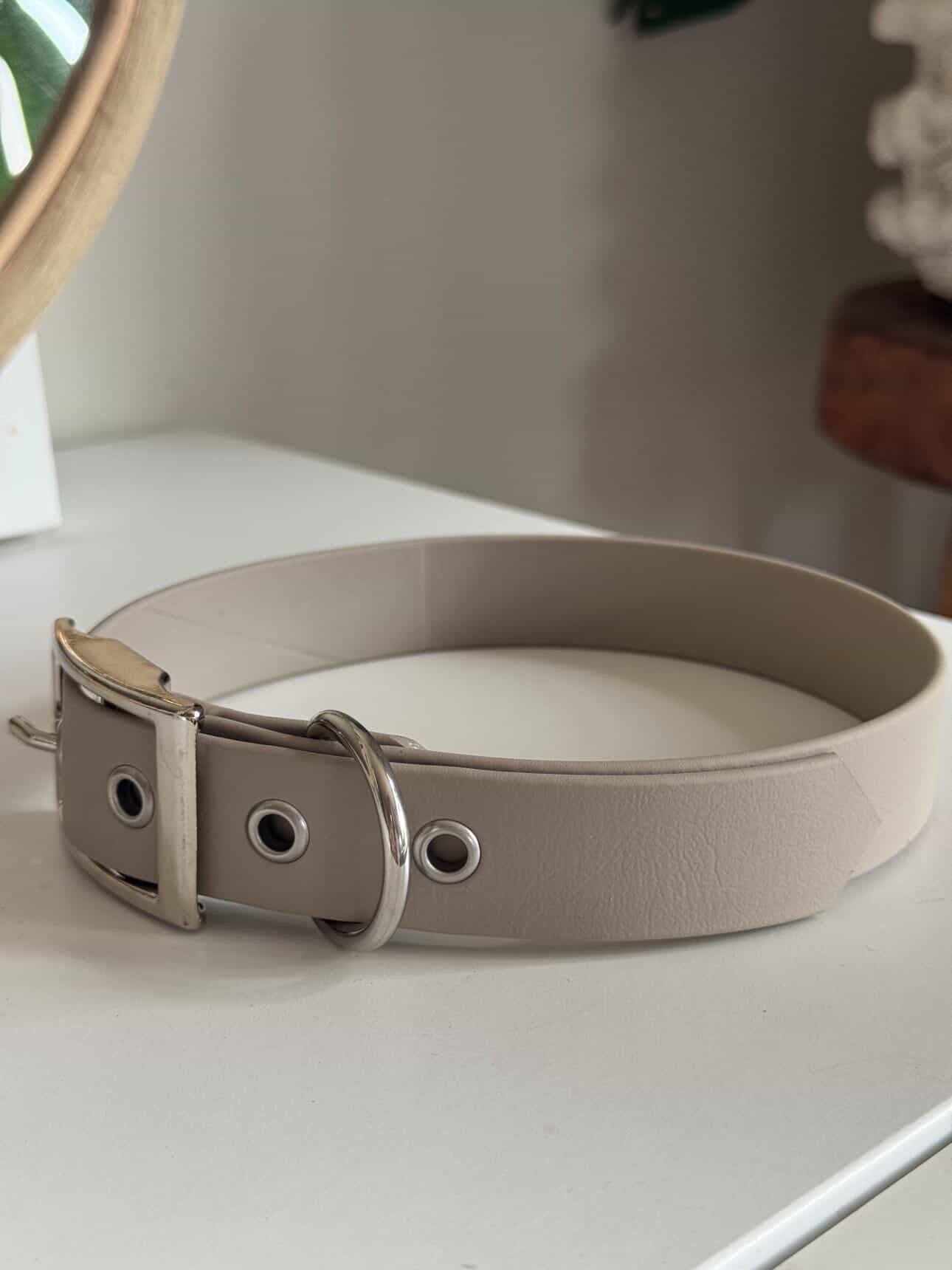 Collier à œillet en Biothane