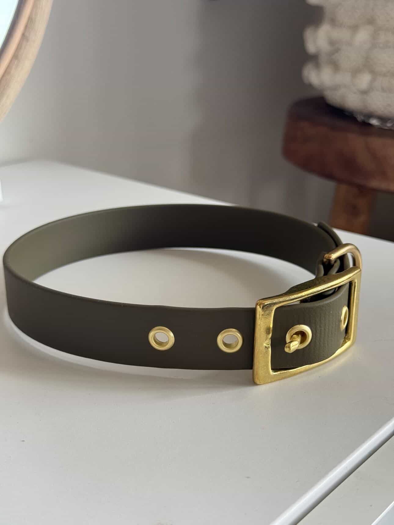 Collier à œillet en Biothane
