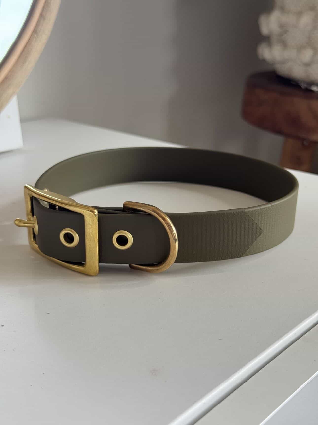 Collier à œillet en Biothane