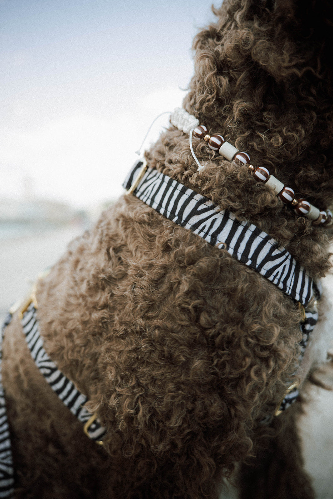 Harnais Zebra - Archila x Handmade Club