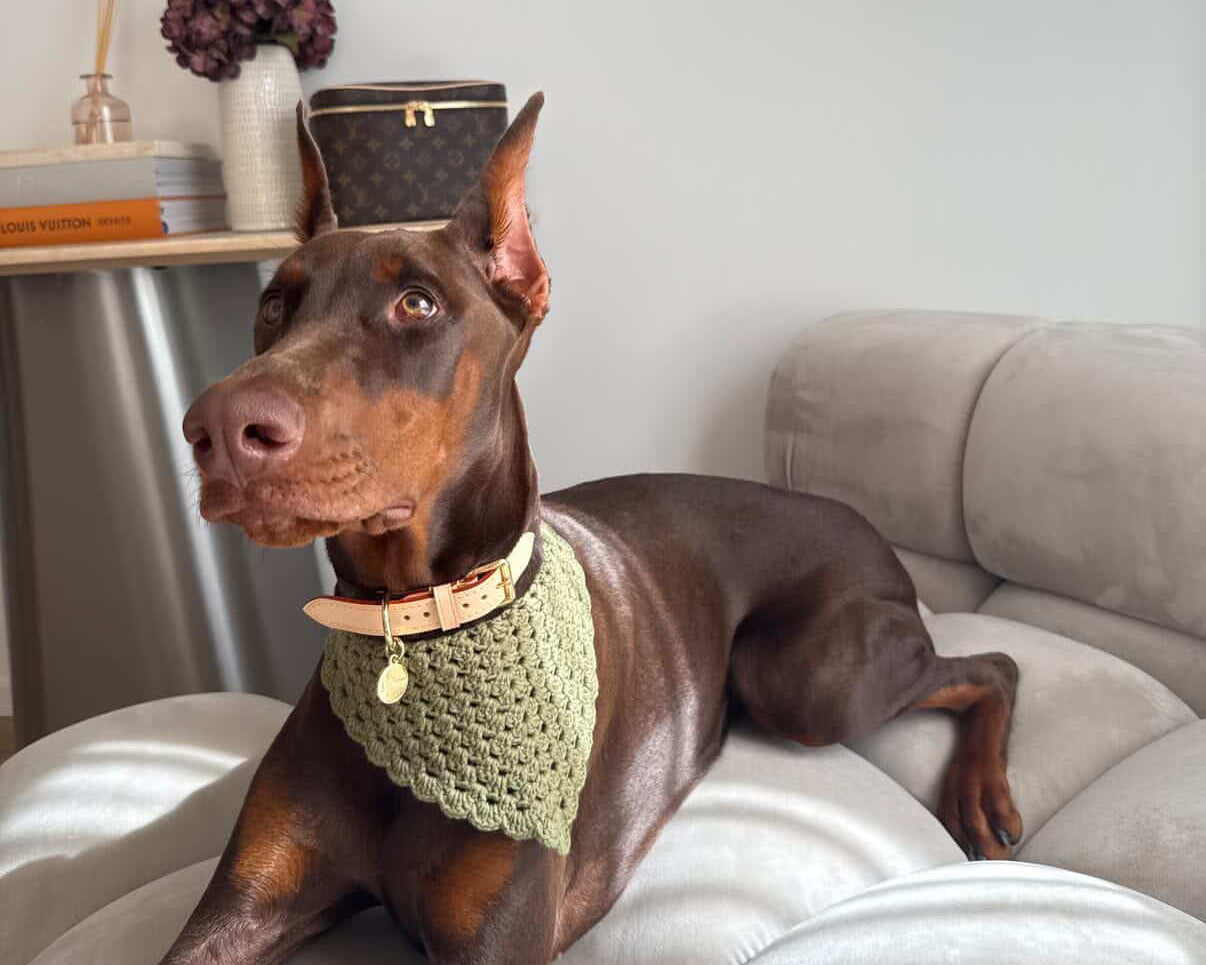 Bandana en crochet kaki