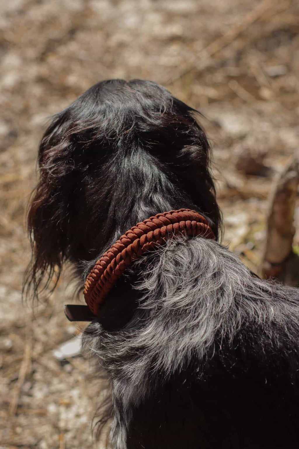 Collier Nova - Marron