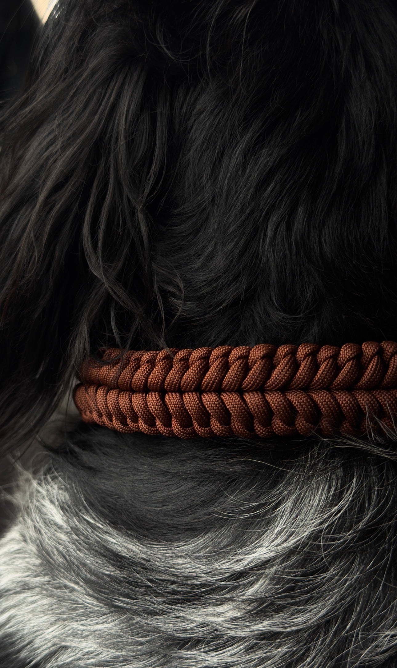Collier Nova - Marron
