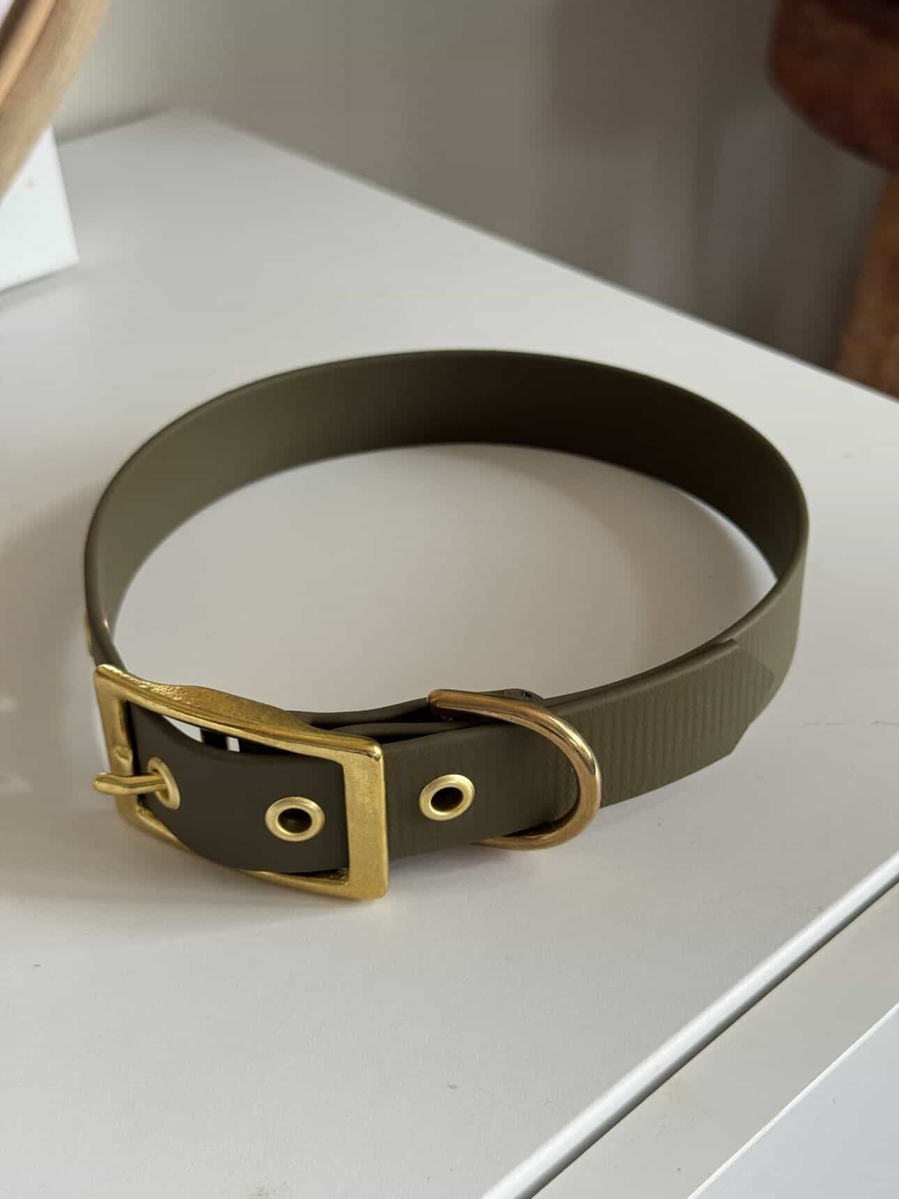 Collier à œillet en Biothane