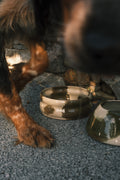 Gamelle classique