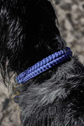 Collier Nova - Bleu
