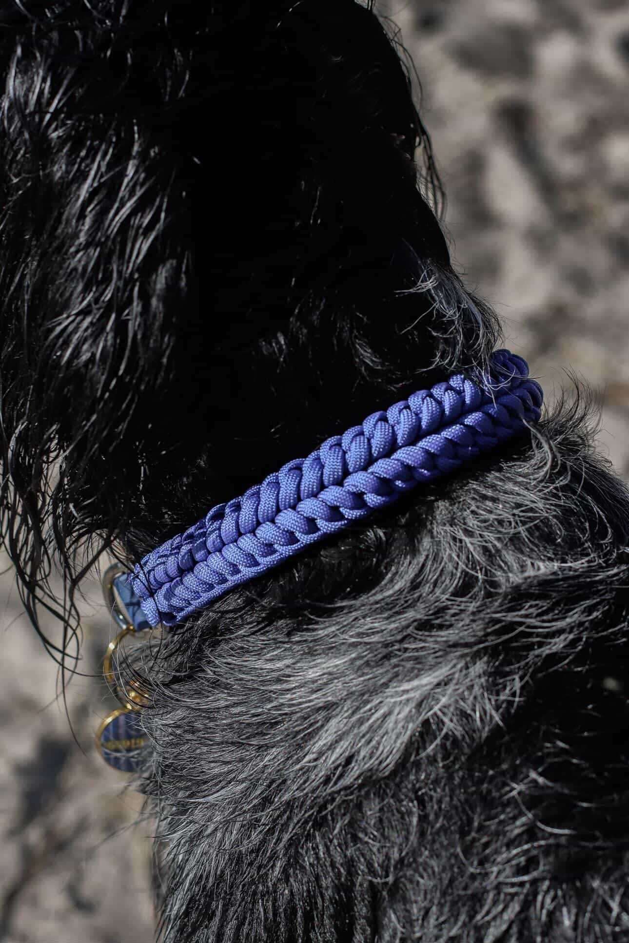 Collier Nova - Bleu