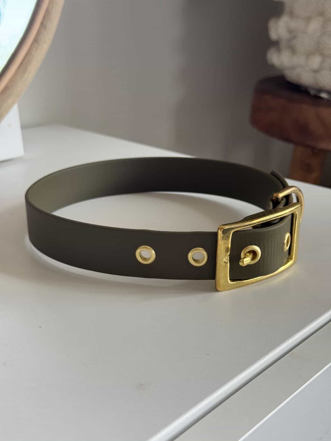 Collier à œillet en Biothane