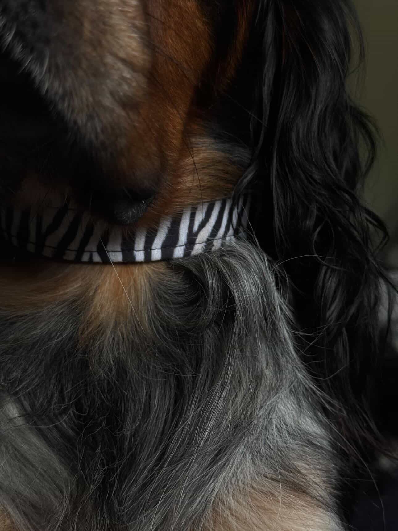 Collier Zebra - Archila x Handmade Club