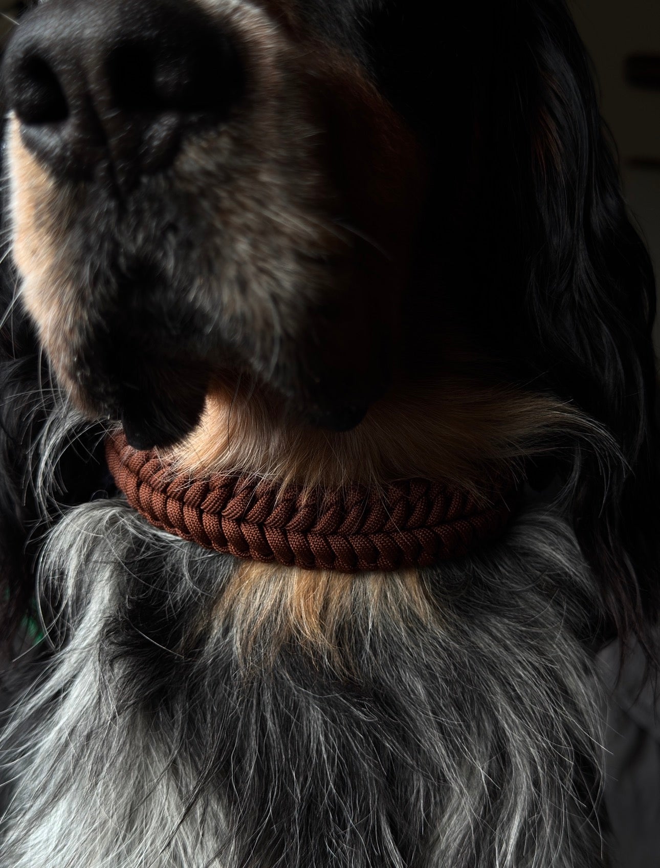 Collier Nova - Marron