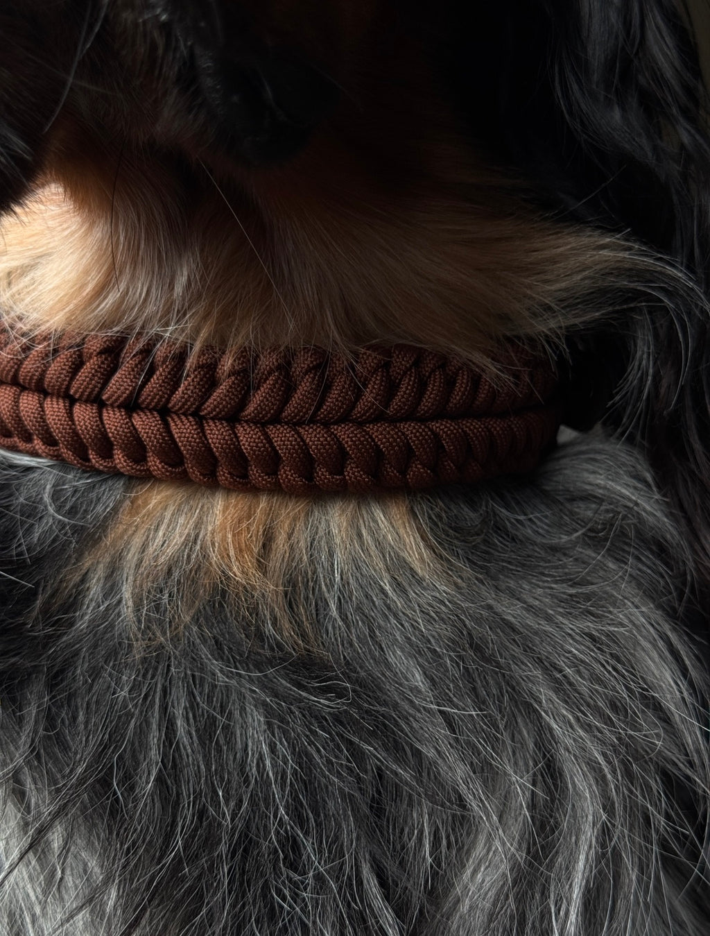 Collier Nova - Marron