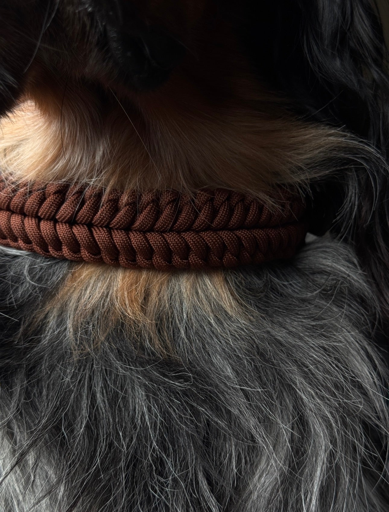 Collier Nova - Marron